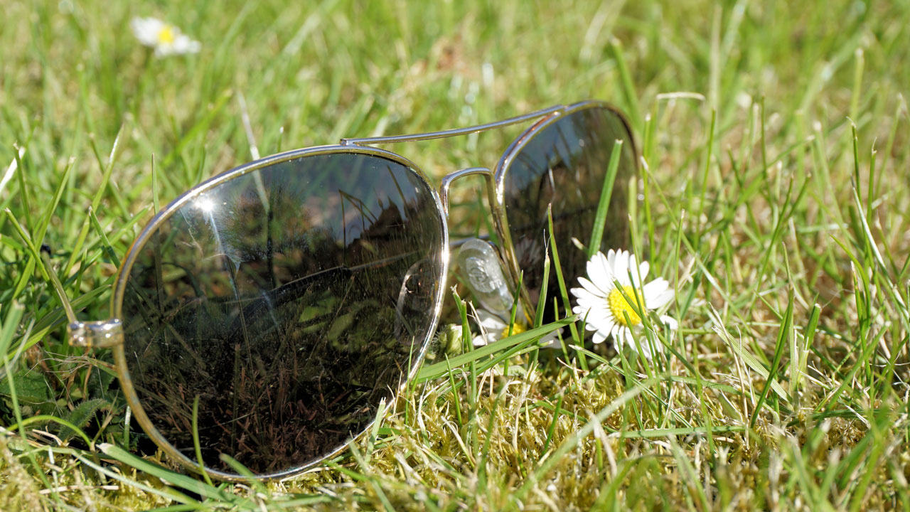 Ветеринары в Челябинске назначают собакам солнцезащитные очки