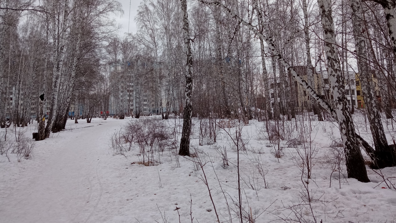 Новая экологическая тропа появится в Челябинске