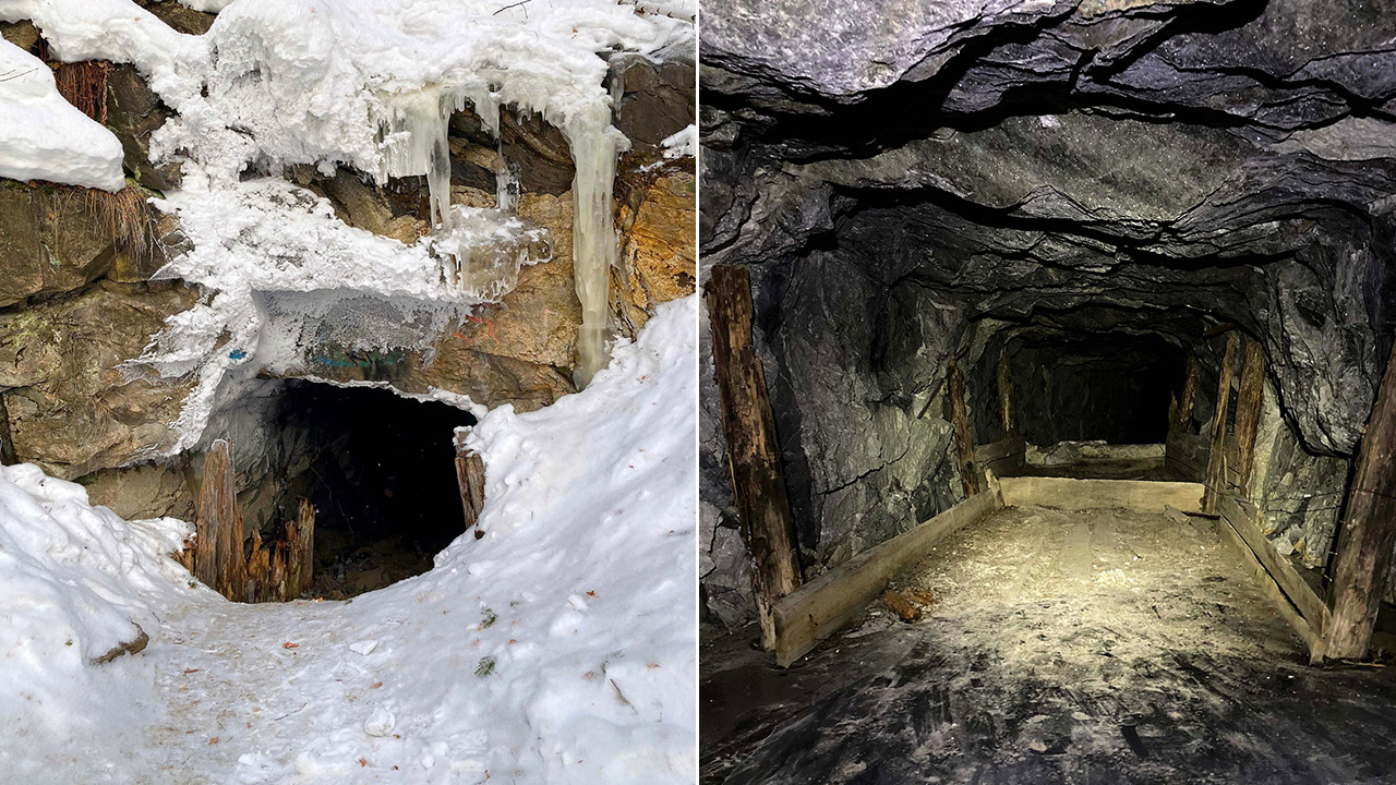 Крупное место зимовки летучих мышей обнаружили в одной из шахт Челябинской области
