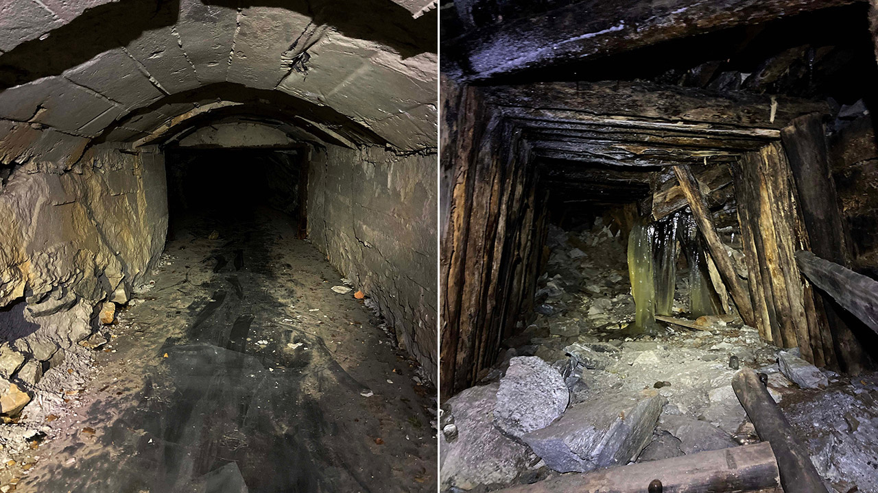 Крупное место зимовки летучих мышей обнаружили в одной из шахт Челябинской области