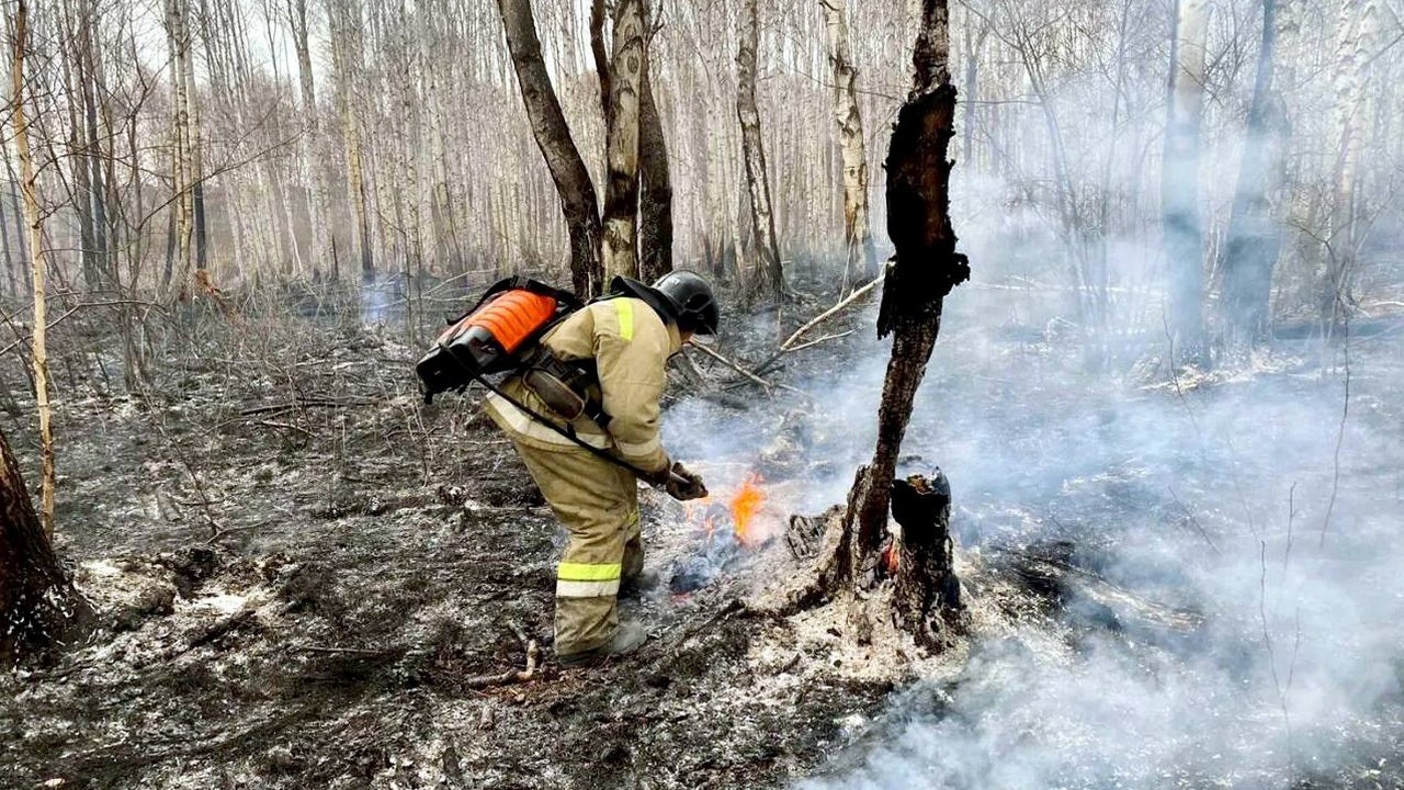 Первые лесные пожары прогнозируют в Челябинской области 