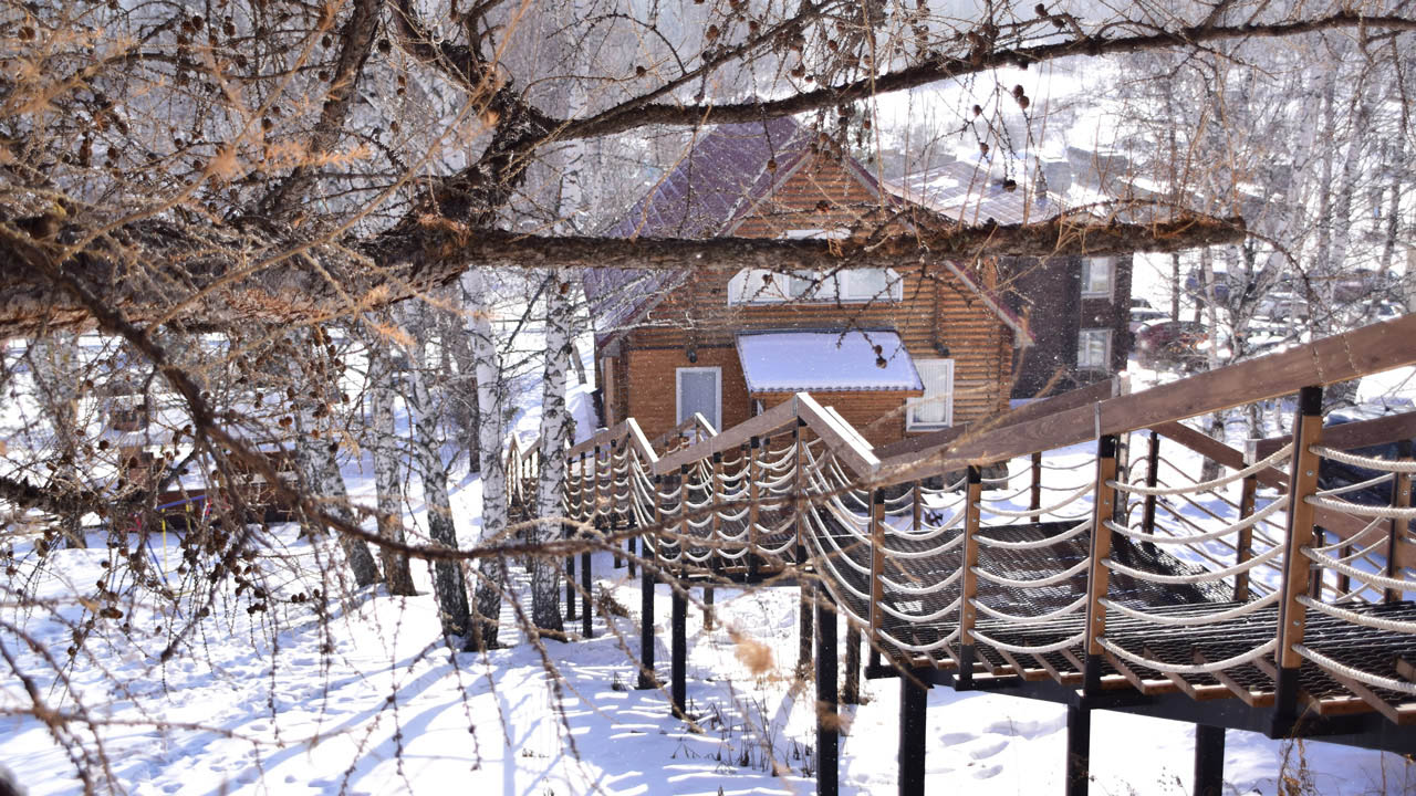 Мокрый снег, дождь и до +7°C прогнозируют в Челябинской области