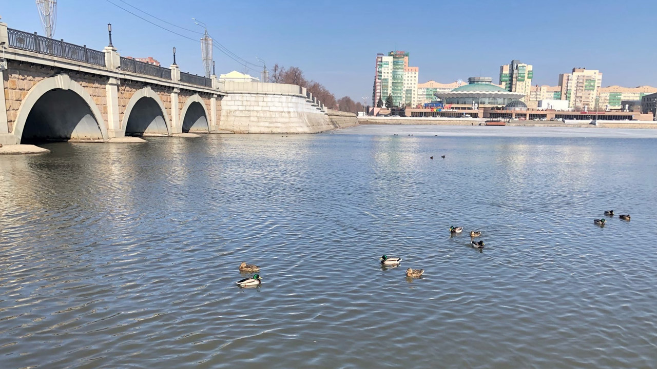 Синоптики прогнозируют потепление до 18°C в Челябинской области