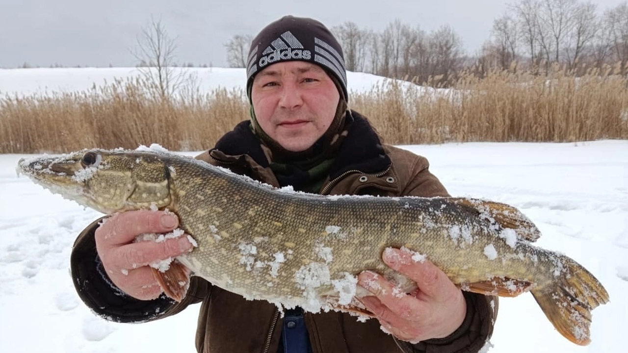 Подарок судьбы: рыбак из Челябинской области похвастался первыми весенними трофеями  
