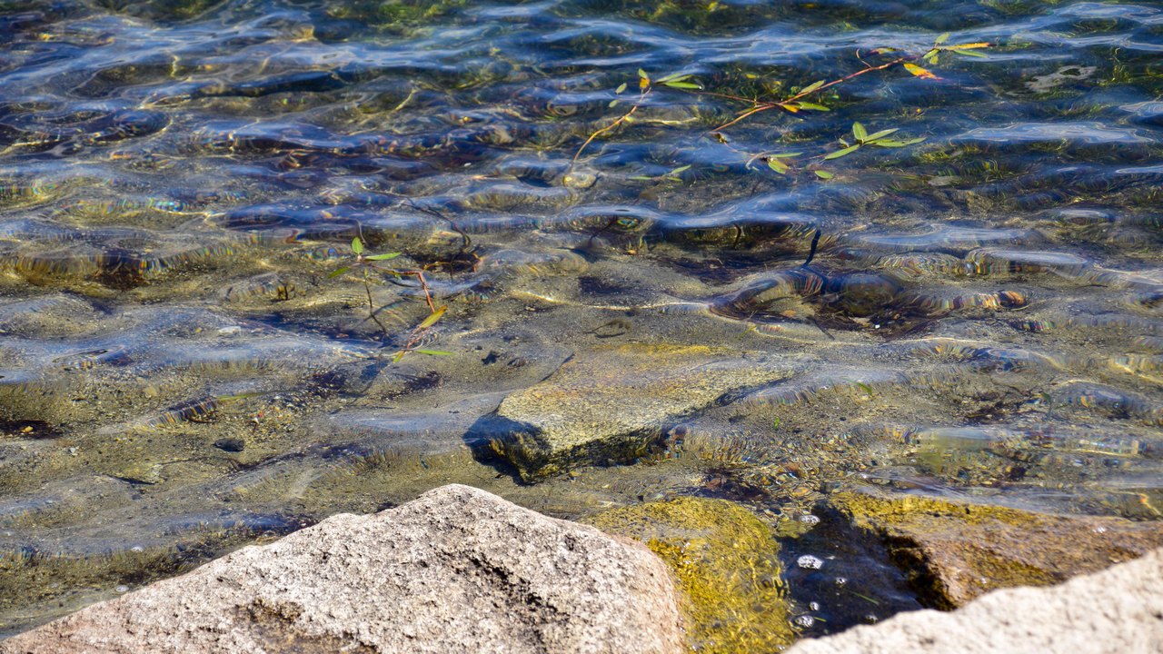 Специалисты Челябинской области проверили качество воды в озере Тургояк