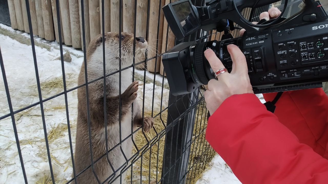 Меняют шубы и меню: как встречают весну животные из Челябинского зоопарка 