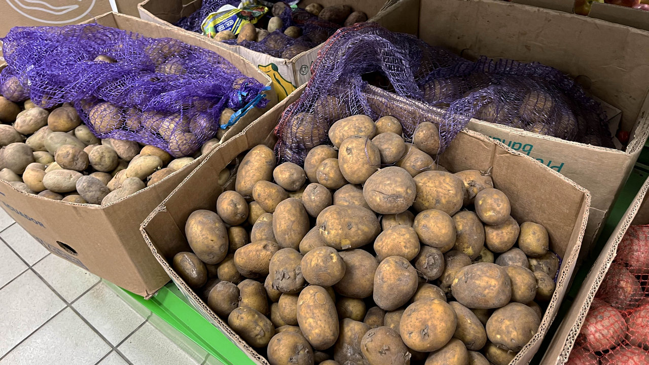 Производство картофеля увеличат в Челябинской области 