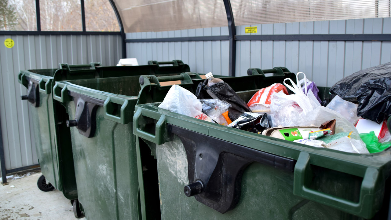 Не убрали даже елки: мониторинг мусорных площадок начинают в Челябинской области Не убрали даже елки: мониторинг мусорных площадок начинают в Челябинской области