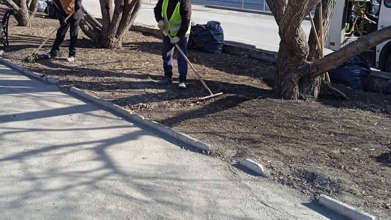 "Три улицы выделяются": Наталья Котова потребовала убрать мусор вдоль дорог