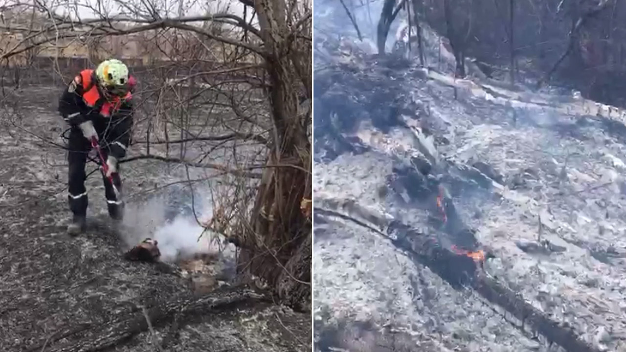 Огонь рядом с домами и школой: природный пожар произошел в Троицке