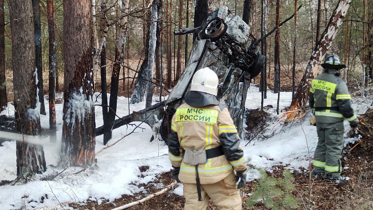 Автомобиль повис на дереве и сгорел в результате ДТП в Челябинской области