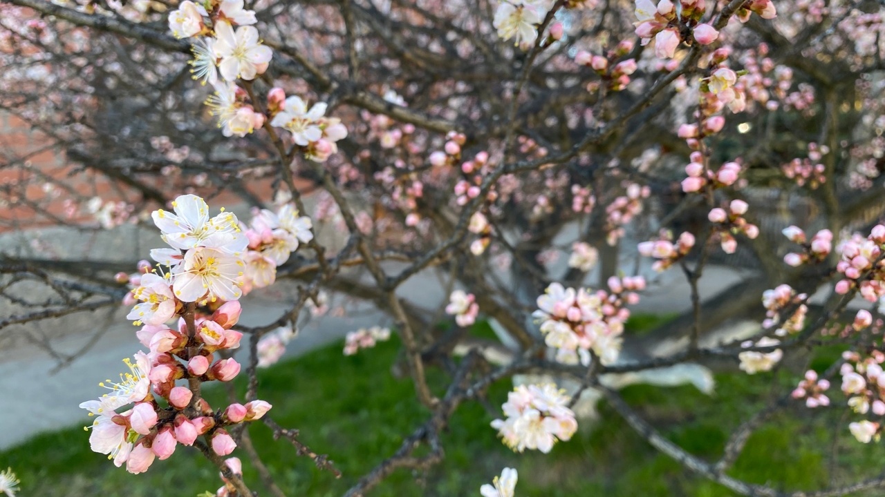 Потепление до +17 и дожди ожидаются в Челябинской области