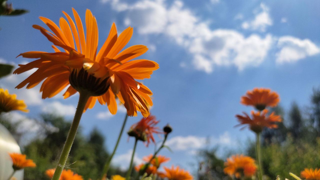 Волна аномального тепла накроет Челябинск 