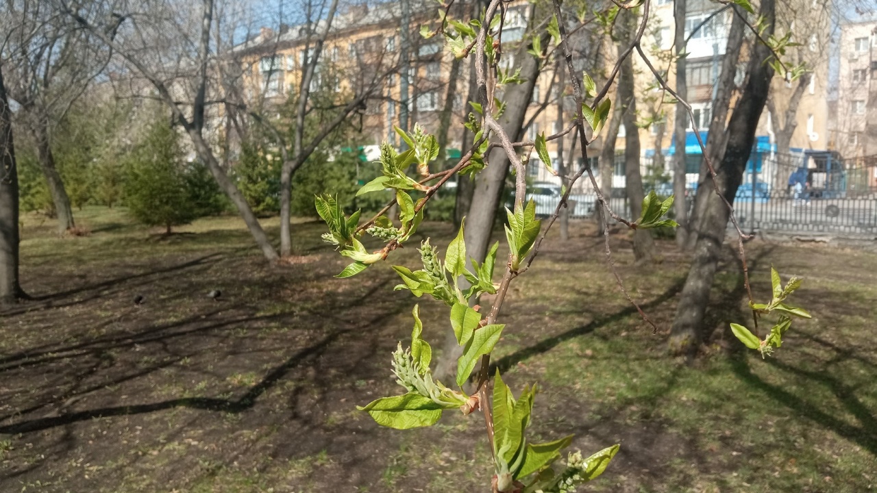 Жару до 27°С обещают синоптики жителям Челябинска
