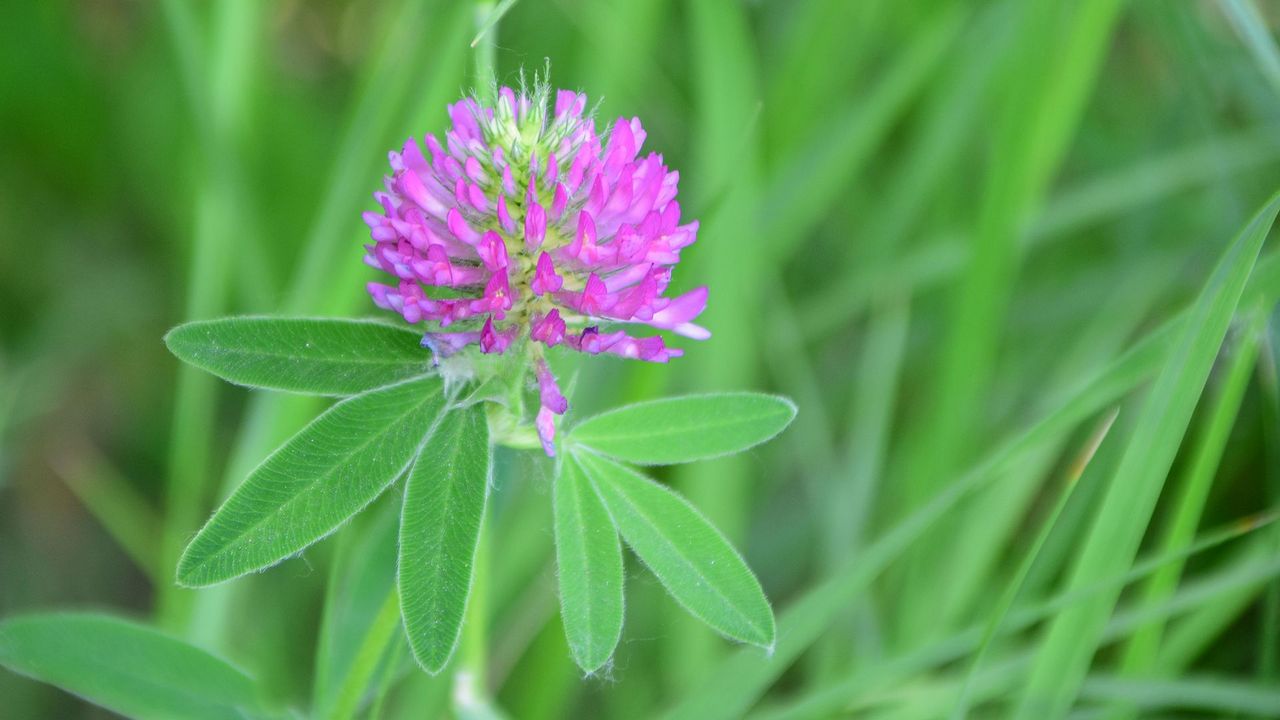 Волна аномального тепла накроет Челябинск 