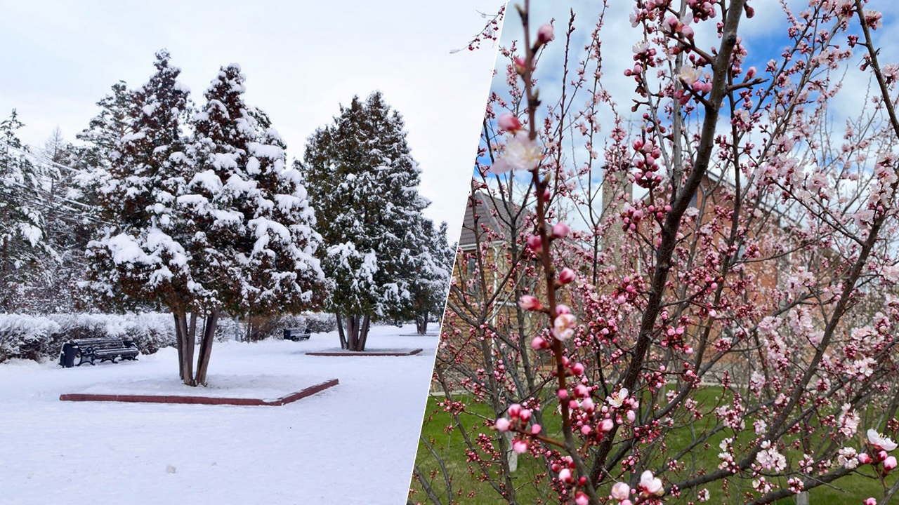 Снег, пыльные бури и самое раннее лето – синоптики о погоде в Челябинске в мае