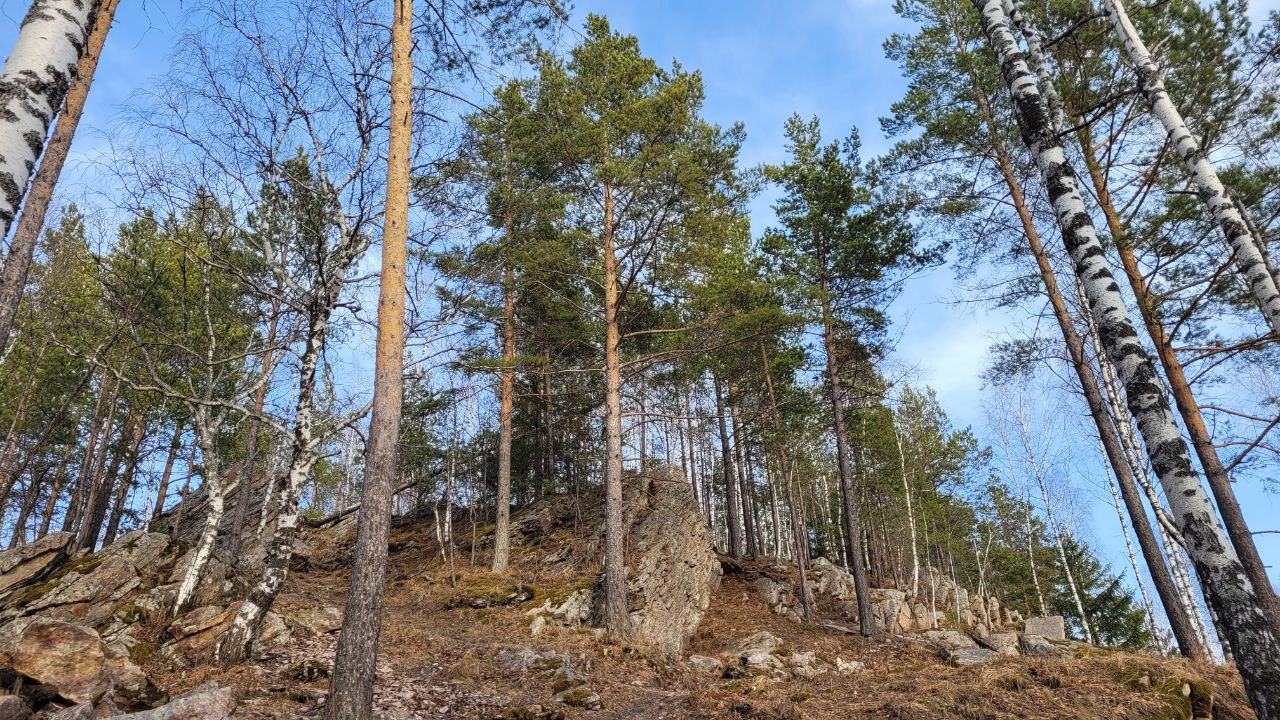 Понижение температуры до -1°C прогнозируют синоптики в Челябинске