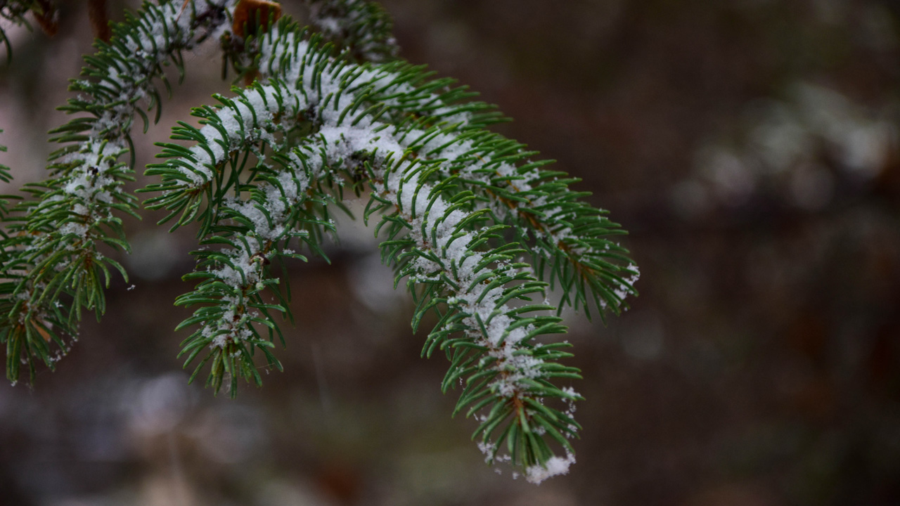 Ночное похолодание до -13°C и снег прогнозируют в Челябинской области