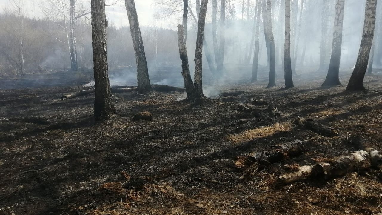 Тушили 10 часов: в заповеднике Челябинской области произошел крупный пожар