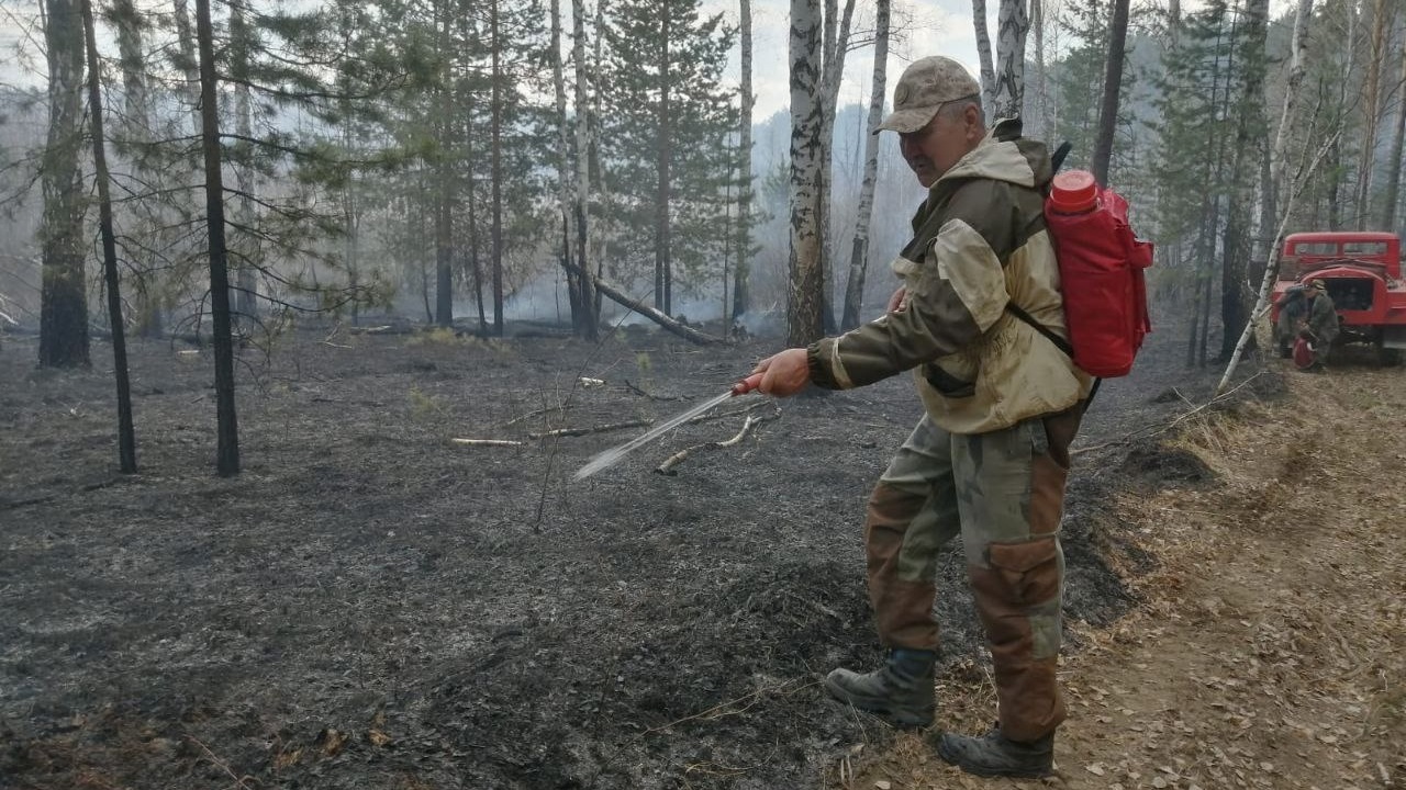 Тушили 10 часов: в заповеднике Челябинской области произошел крупный пожар