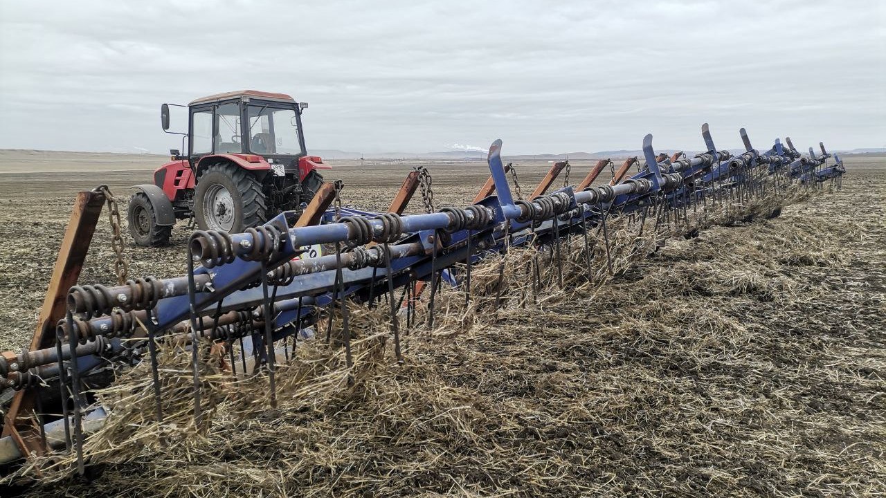 Производство пшеницы для макарон рассчитывают увеличить в Челябинской области 