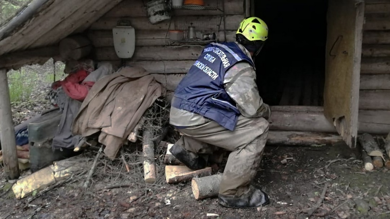 В лесу Челябинской области заблудились четыре женщины