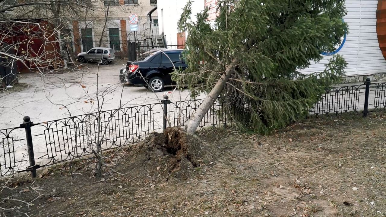 Штормовой ветер на Южном Урале повалил деревья и деформировал обшивку крыш