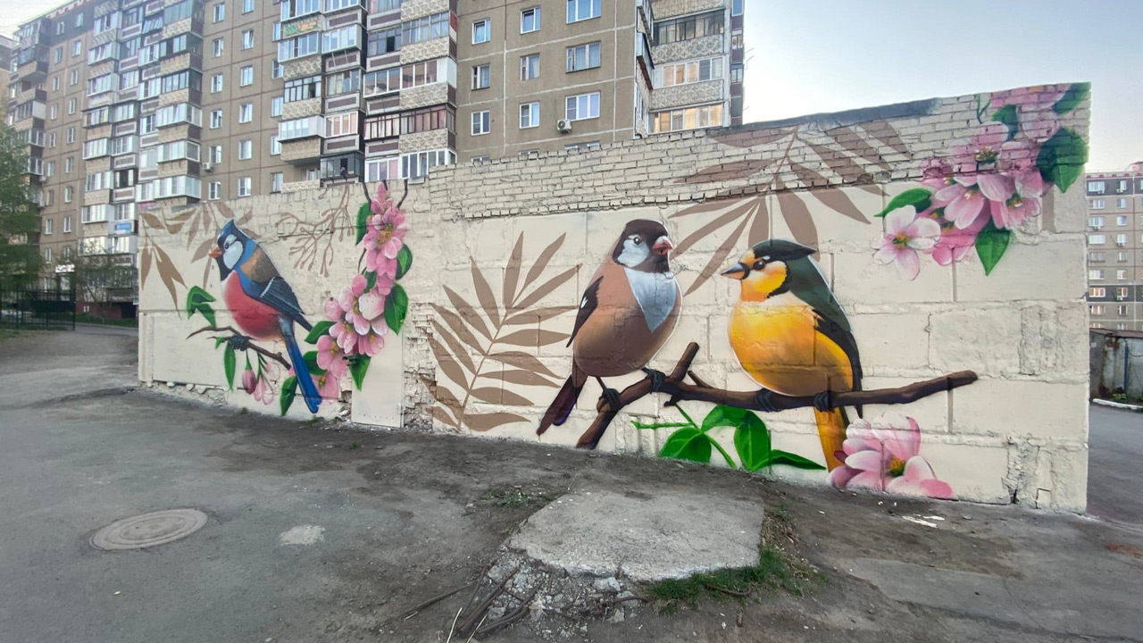 Большие красочные птицы появились во дворе Челябинска