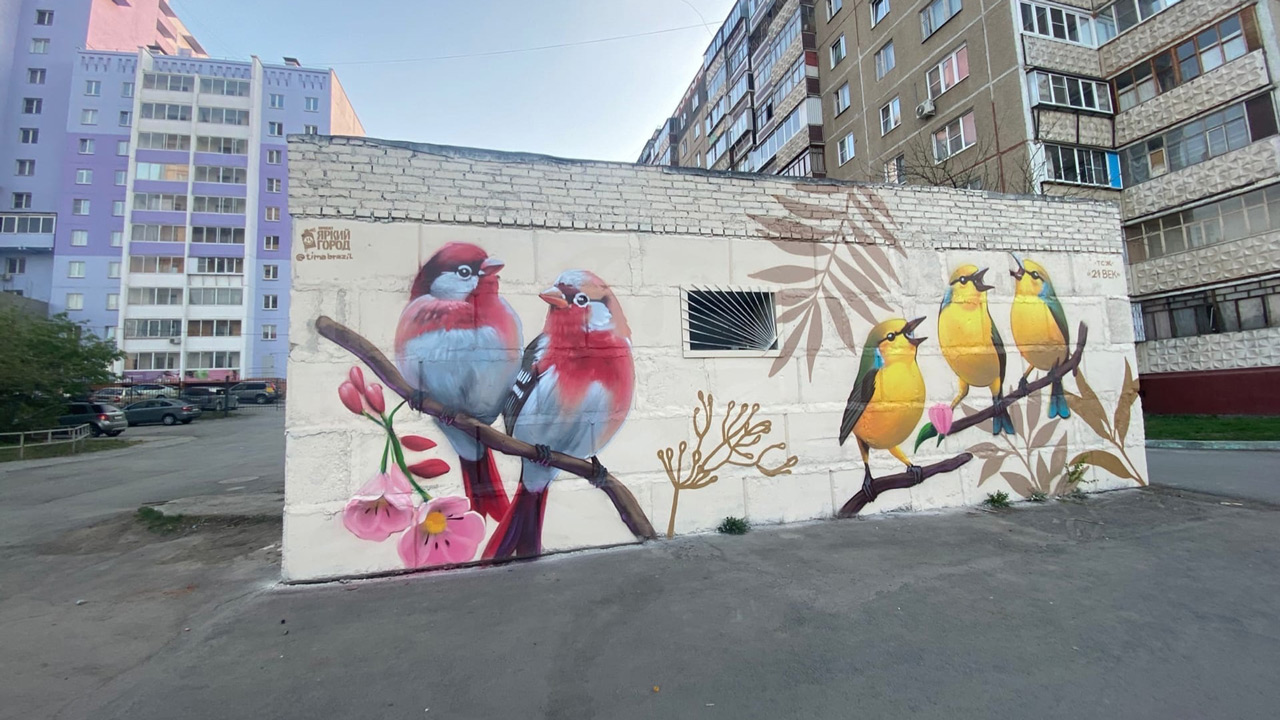 Большие красочные птицы появились во дворе Челябинска