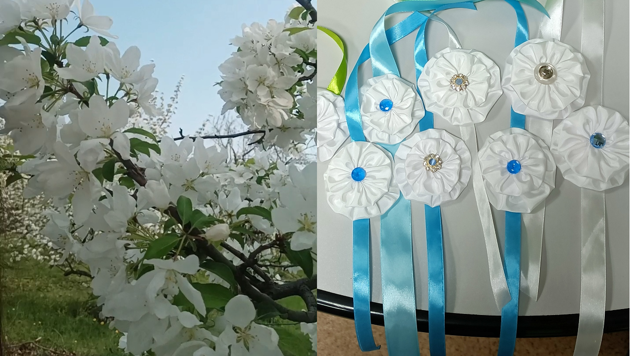 Жителям Челябинска раздадут белые цветы, чтобы помочь детям-отказникам