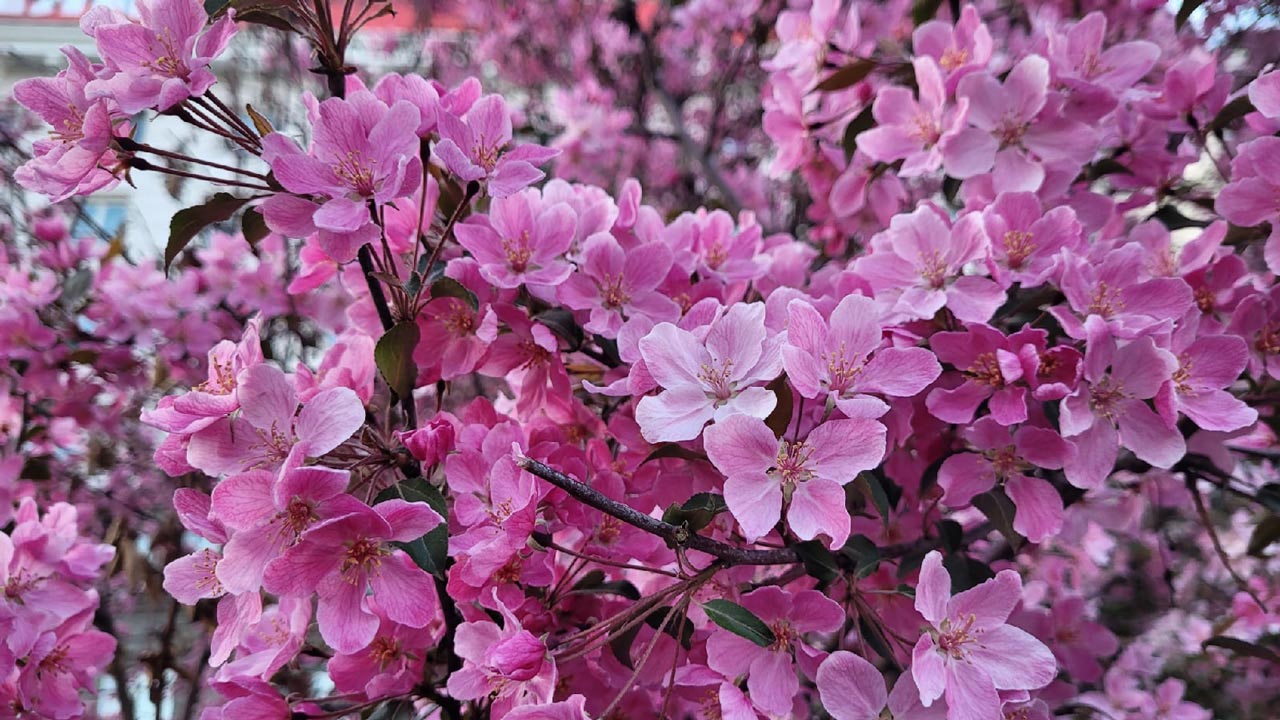 Потепление до 26°C идет в Челябинскую область Потепление до 26°C идет в Челябинскую область