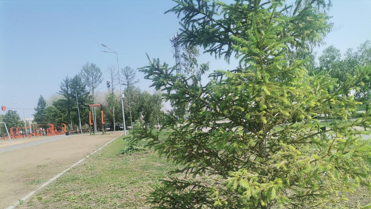Праздник дружбы народов организовали в Челябинской области Праздник дружбы народов организовали в Челябинской области