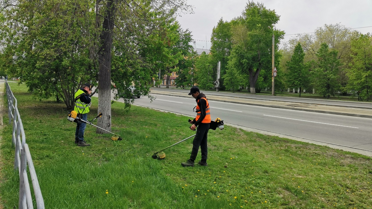 Репейник, бурьян и борщевик начали косить на газонах в Челябинске 