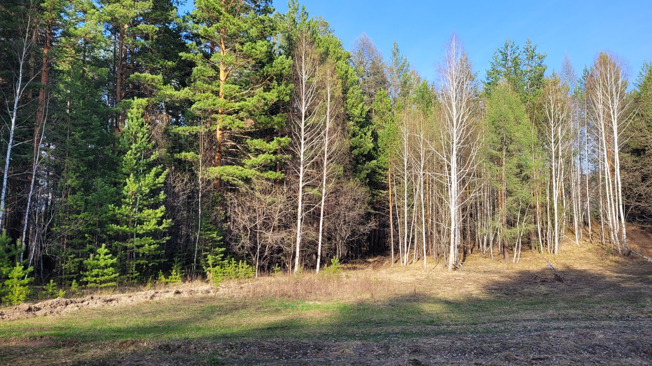 Потепление до 26°C прогнозируют в Челябинской области