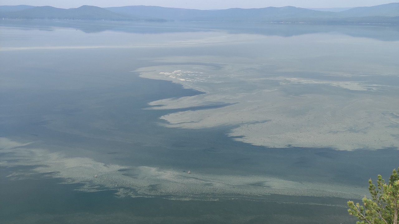 Вода цветет и пахнет: озеро Тургояк в Челябинской области покрылось зеленой пленкой
