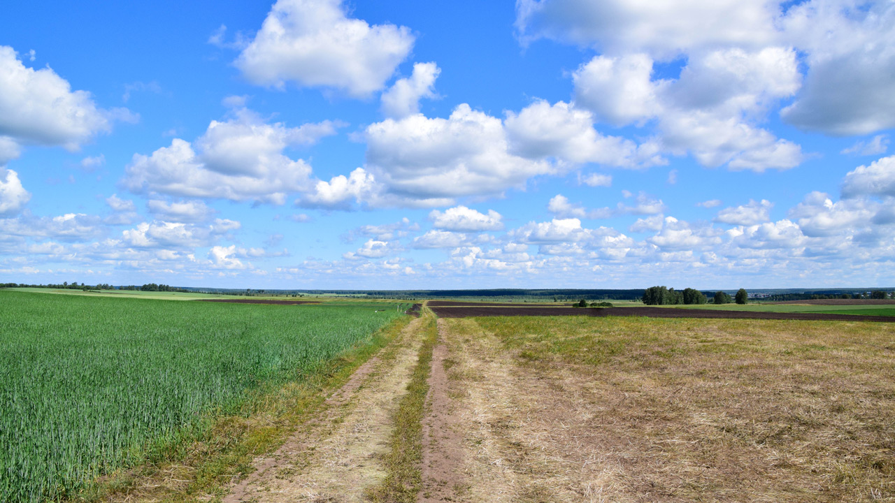 В Гидрометцентре сообщили о дефиците осадков в Челябинской области