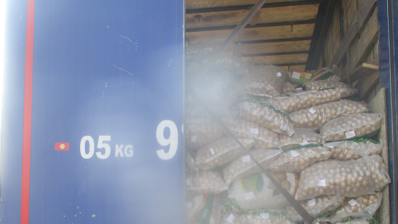 Более 40 тонн грецких орехов не пустили в Челябинскую область