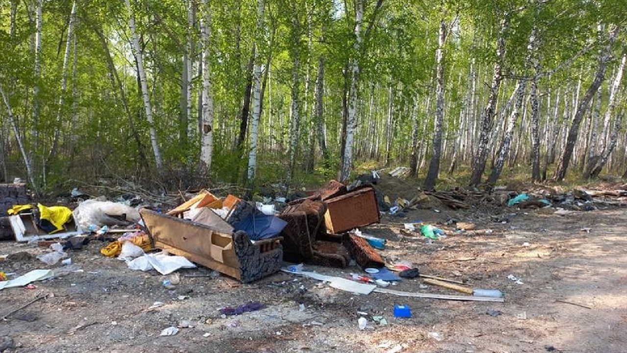 Несанкционированные свалки обнаружили в лесах Челябинской области Несанкционированные свалки обнаружили в лесах Челябинской области