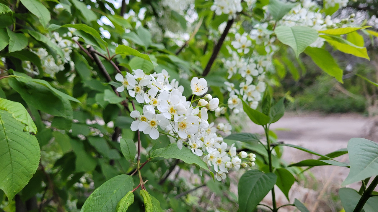 В Челябинской области прогнозируют 30-градусную жару
