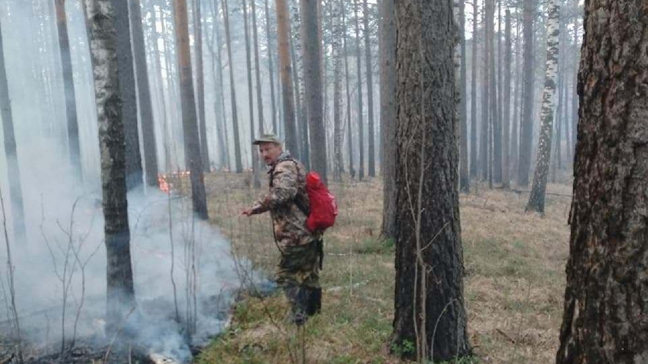 Сильный пожар возник в национальном парке в Челябинской области Сильный пожар возник в национальном парке в Челябинской области