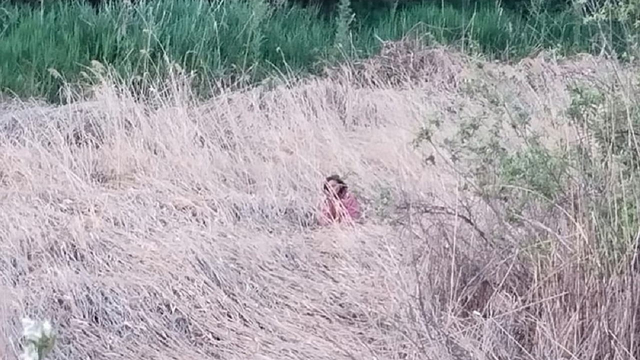 Не могла выбраться: женщина увязла в болоте в Челябинской области