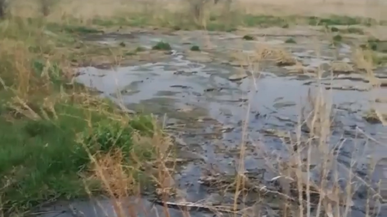 Жители поселка в Челябинской области пожаловались на реку из нечистот