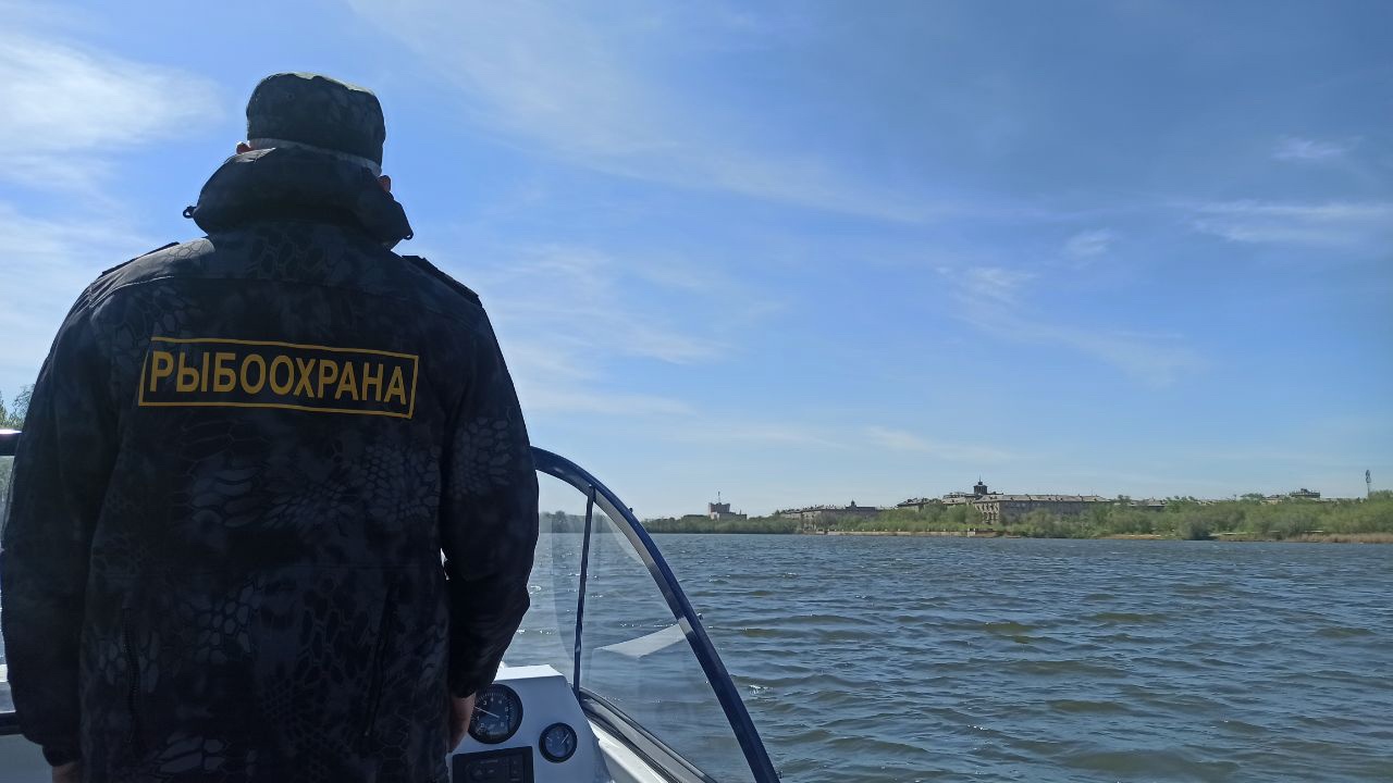 Охота на браконьеров: на водоемах Челябинской области объявлен нерестовый период Охота на браконьеров: на водоемах Челябинской области объявлен нерестовый период