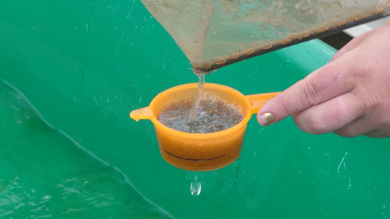 В водоемы Челябинской области выпустят 150 миллионов личинок и мальков рыбы