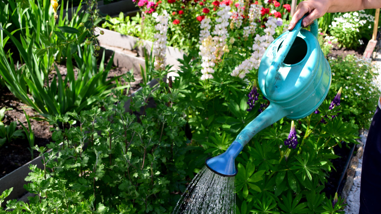 Консультации на грядках: медики провели акцию для садоводов в Челябинске