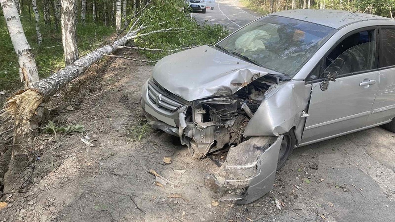 Шмель в салоне автомобиля спровоцировал ДТП с пострадавшими в Челябинской области