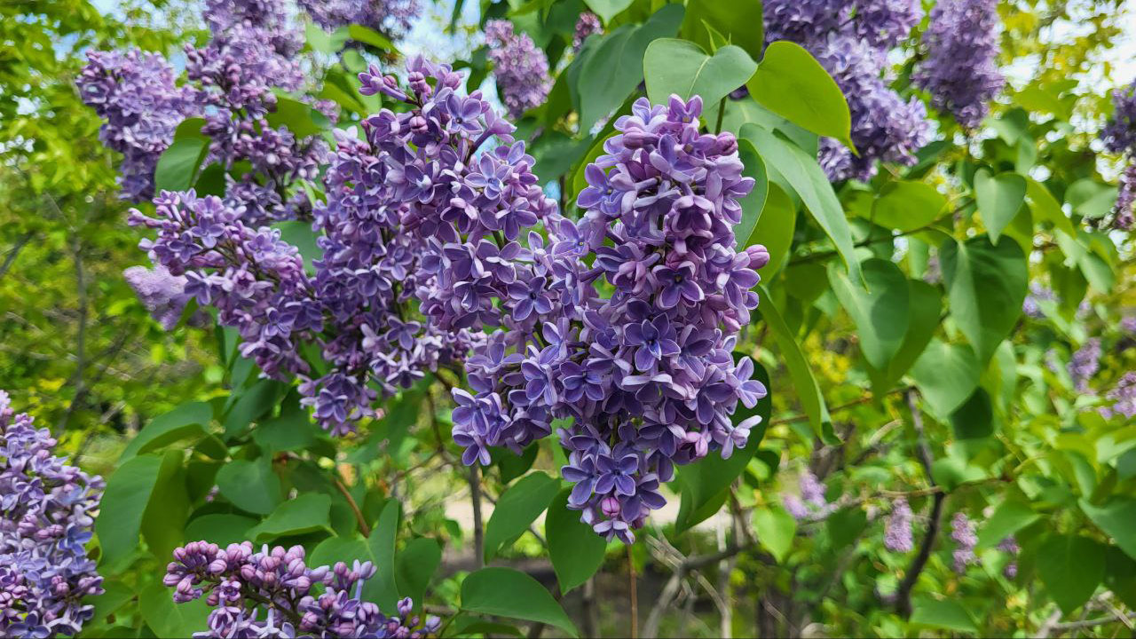 Синоптики прогнозируют ветреную погоду и до 26°C в Челябинской области