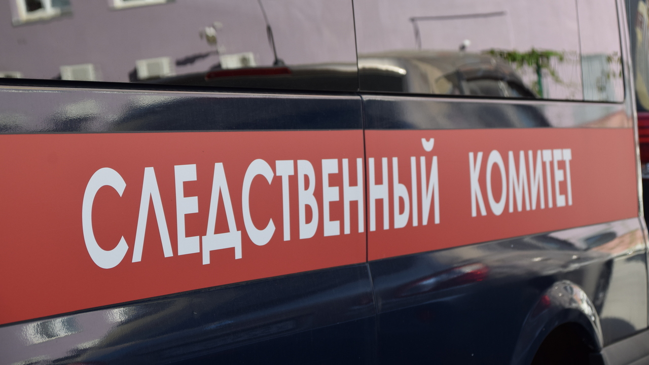 Ребенок получил травму спины на детской площадке: СК в Челябинске начал проверку