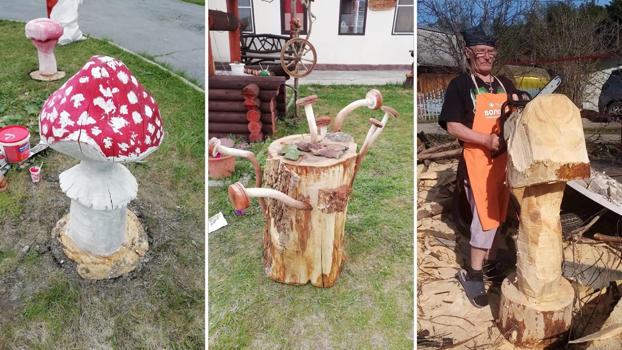 Поляна с гигантскими грибами появилась в Челябинской области  