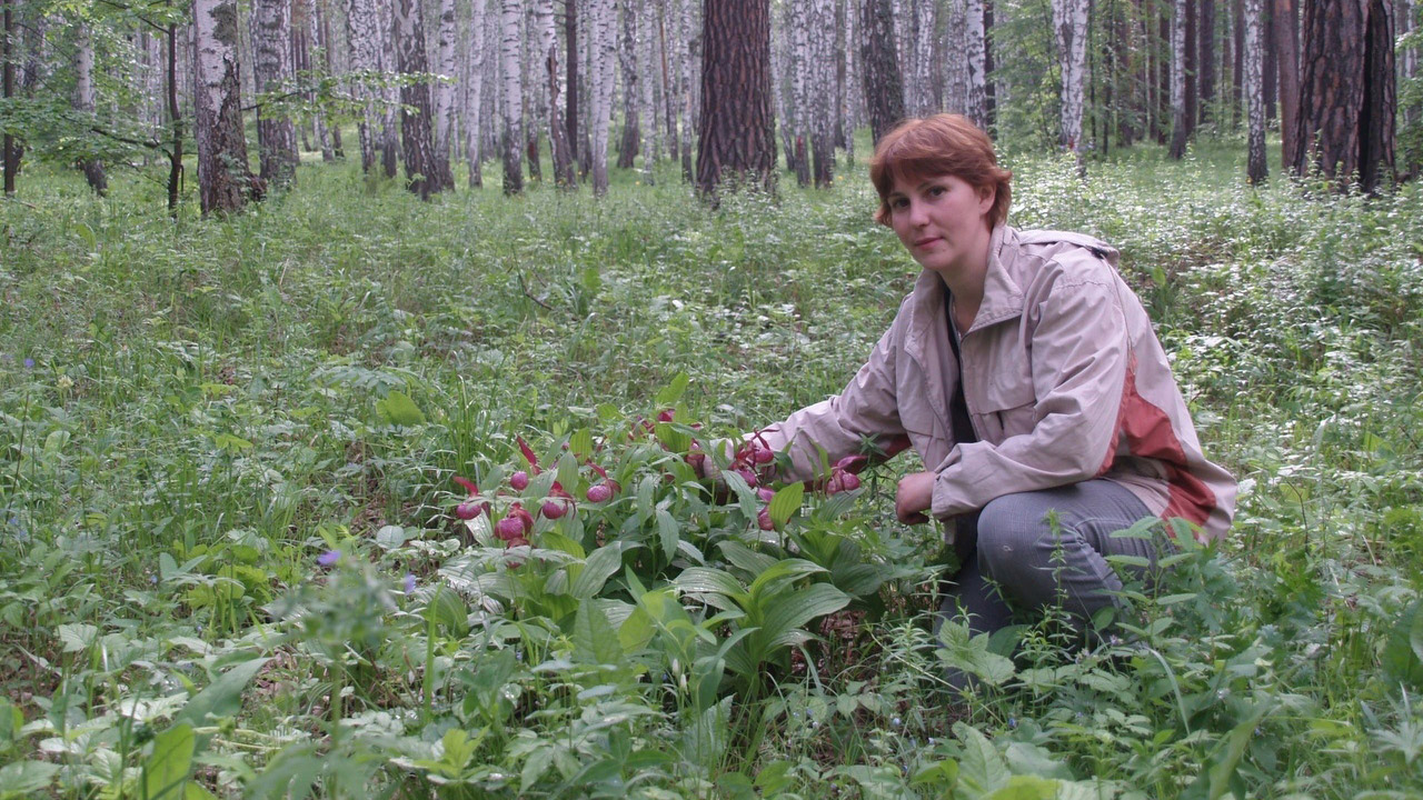 Памятник природы с краснокнижными растениями пересох в Челябинской области